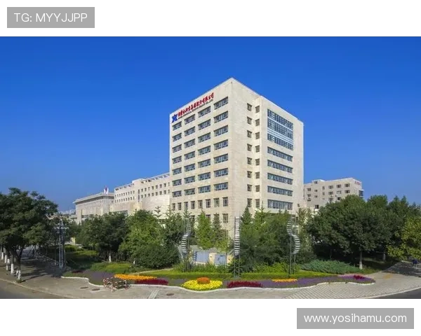 凯发建筑工程有限公司重视团队建设，打造专业化施工团队保障工程质量与安全